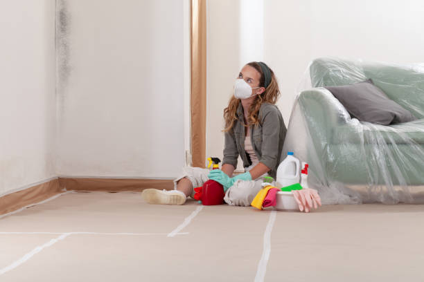 Reliable Black Mold Remediation contractor in College Park, MD by Car Mold Remediation